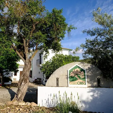 Casa Olea Priego De Cordoba