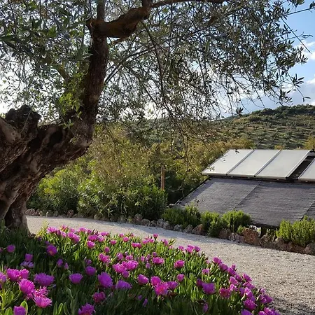 Bed & Breakfast Casa Olea Rural
