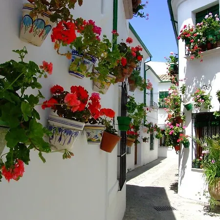 Casa Olea * Priego De Cordoba