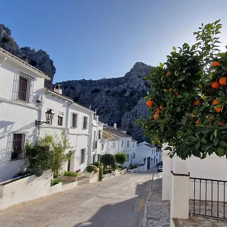 Casa Olea 3*