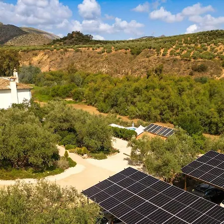 Bed & Breakfast Casa Olea
