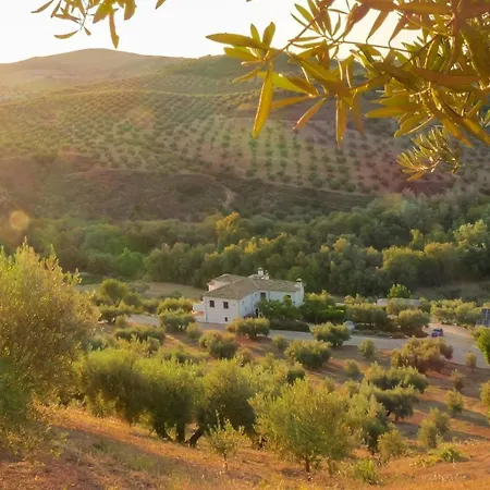 Casa Olea 3* Priego De Cordoba