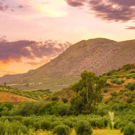 Bed & Breakfast Casa Olea 3*