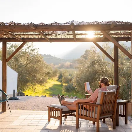 Casa Olea Bed & Breakfast Priego De Cordoba