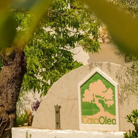 Bed & Breakfast Casa Olea Priego De Cordoba