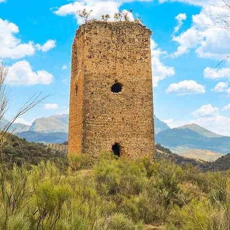 Casa Olea 3*