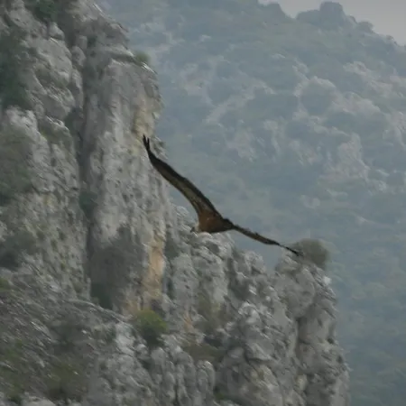 Bed & Breakfast Casa Olea 3*