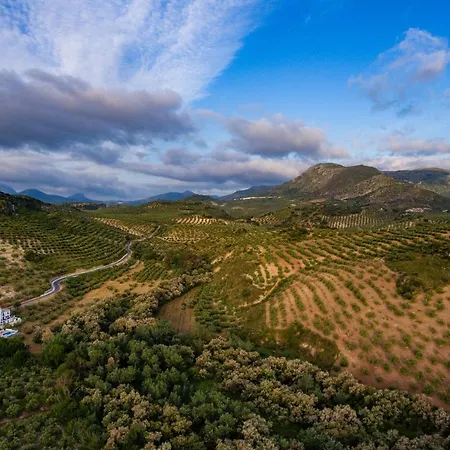 Casa Olea Rural *