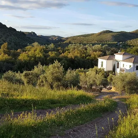 Casa Olea Rural Bed & Breakfast