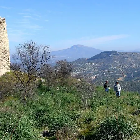 Bed & Breakfast Casa Olea Rural