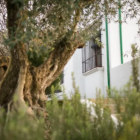 Casa Olea Rural * Priego de Córdoba