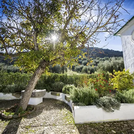 Casa Olea Rural